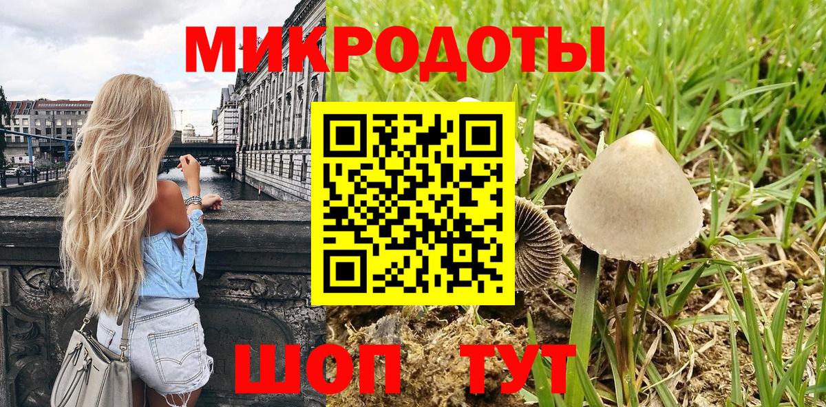 Борзя  цена   Вход с VPN  Галлюциногенные грибы мухоморы 