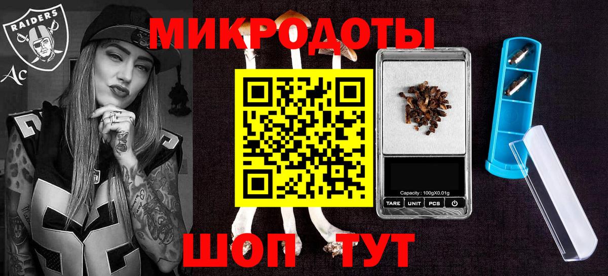 Галлюциногенные грибы Cubensis Борзя